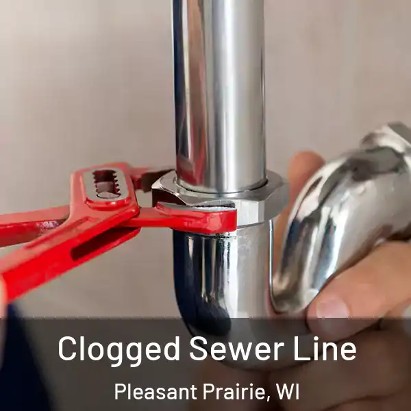  Clogged Sewer Line Pleasant Prairie, WI