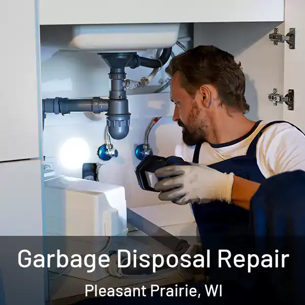  Garbage Disposal Repair Pleasant Prairie, WI