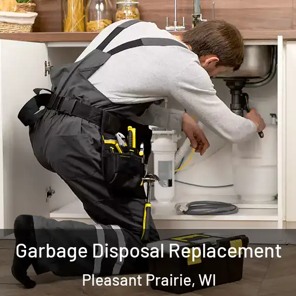 Garbage Disposal Replacement Pleasant Prairie, WI
