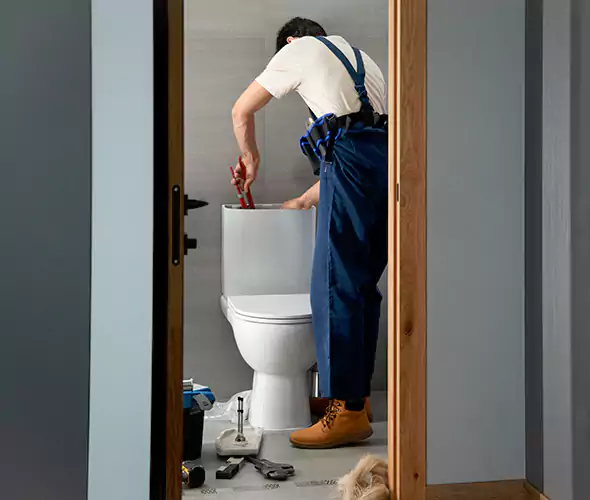 Professional Plumbers for Toilet Bowl Replacement in Pleasant Prairie, WI: Schedule Affordable Toilet Replacement Services With Us