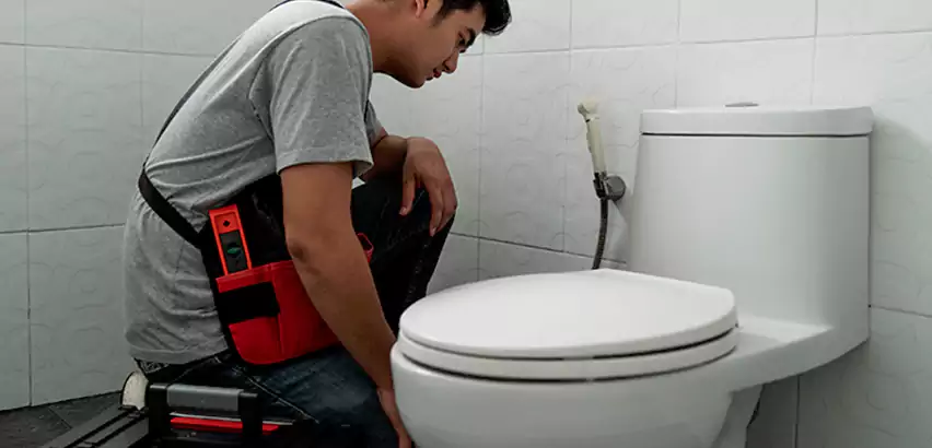 Toilet Repair in Pleasant Prairie