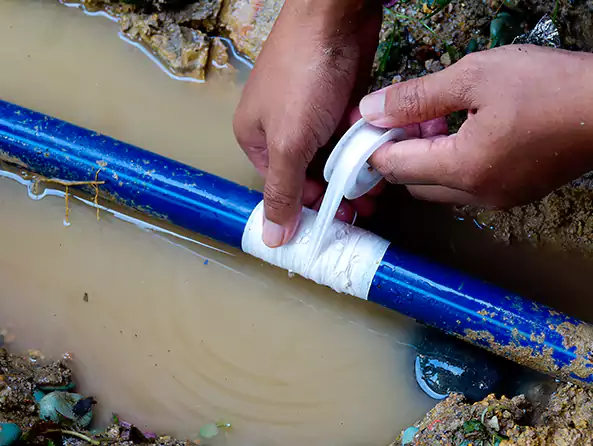  Why Choose Pleasant Prairie Plumbers for Leak Detection in Pleasant Prairie, WI?]