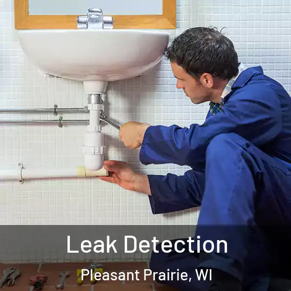  Leak Detection Pleasant Prairie, WI
