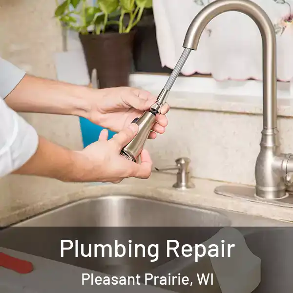  Plumbing Repair Pleasant Prairie, WI