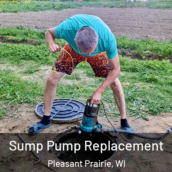  Sump Pump Replacement Pleasant Prairie, WI