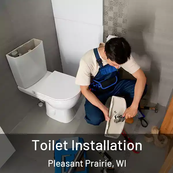  Toilet Installation Pleasant Prairie, WI