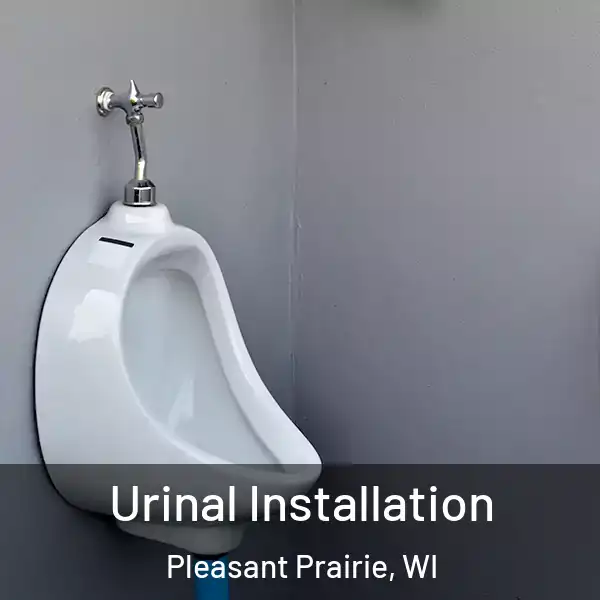  Urinal Installation Pleasant Prairie, WI