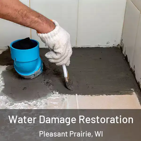  Water Damage Restoration Pleasant Prairie, WI