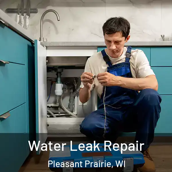  Water Leak Repair Pleasant Prairie, WI